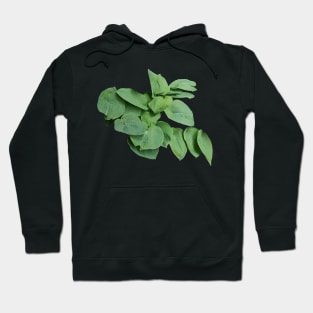 Blue Mammoth Big Leaves Hoodie